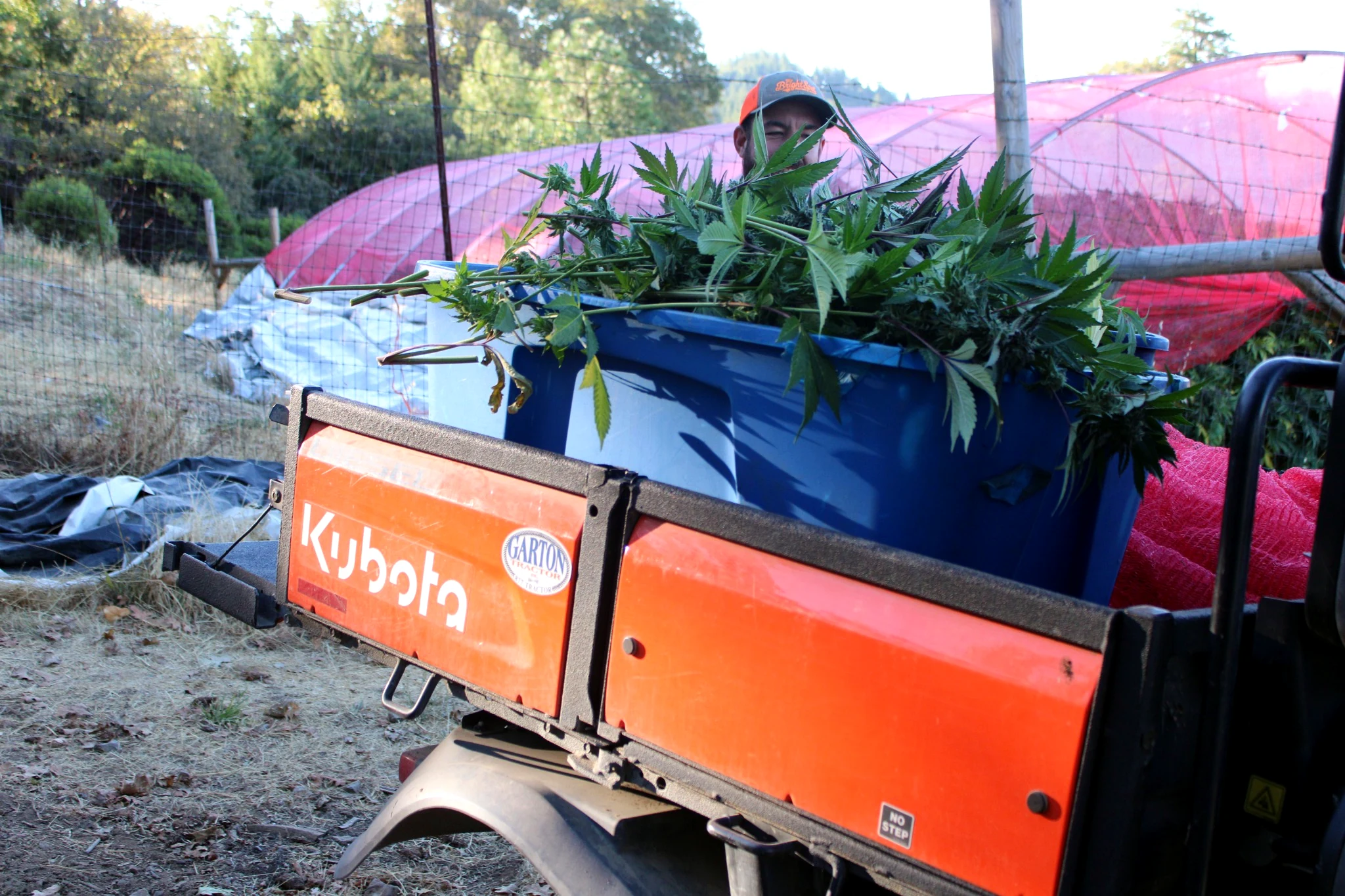 Moving the cut crop