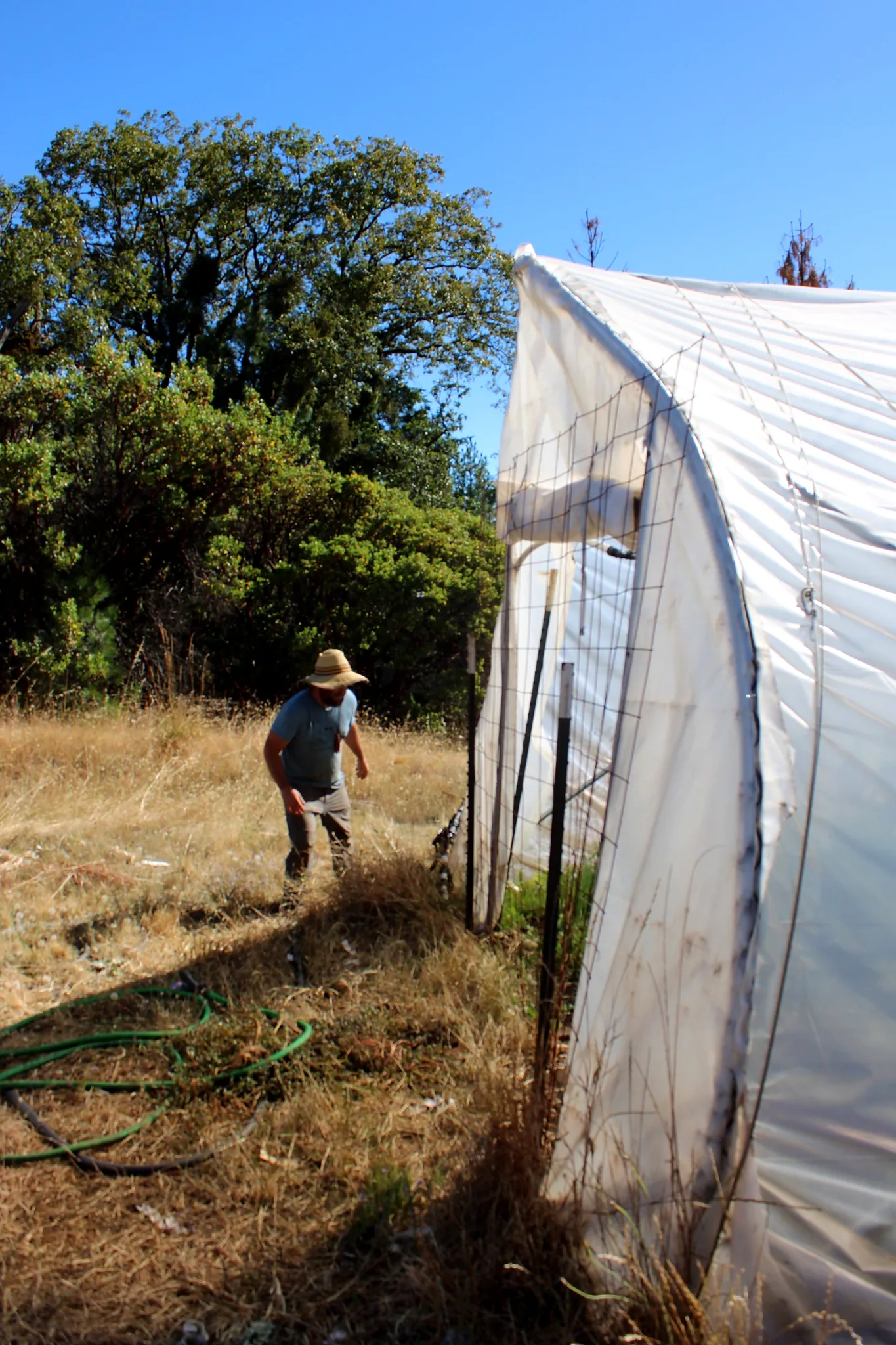 Hoophouse edge on the hillside