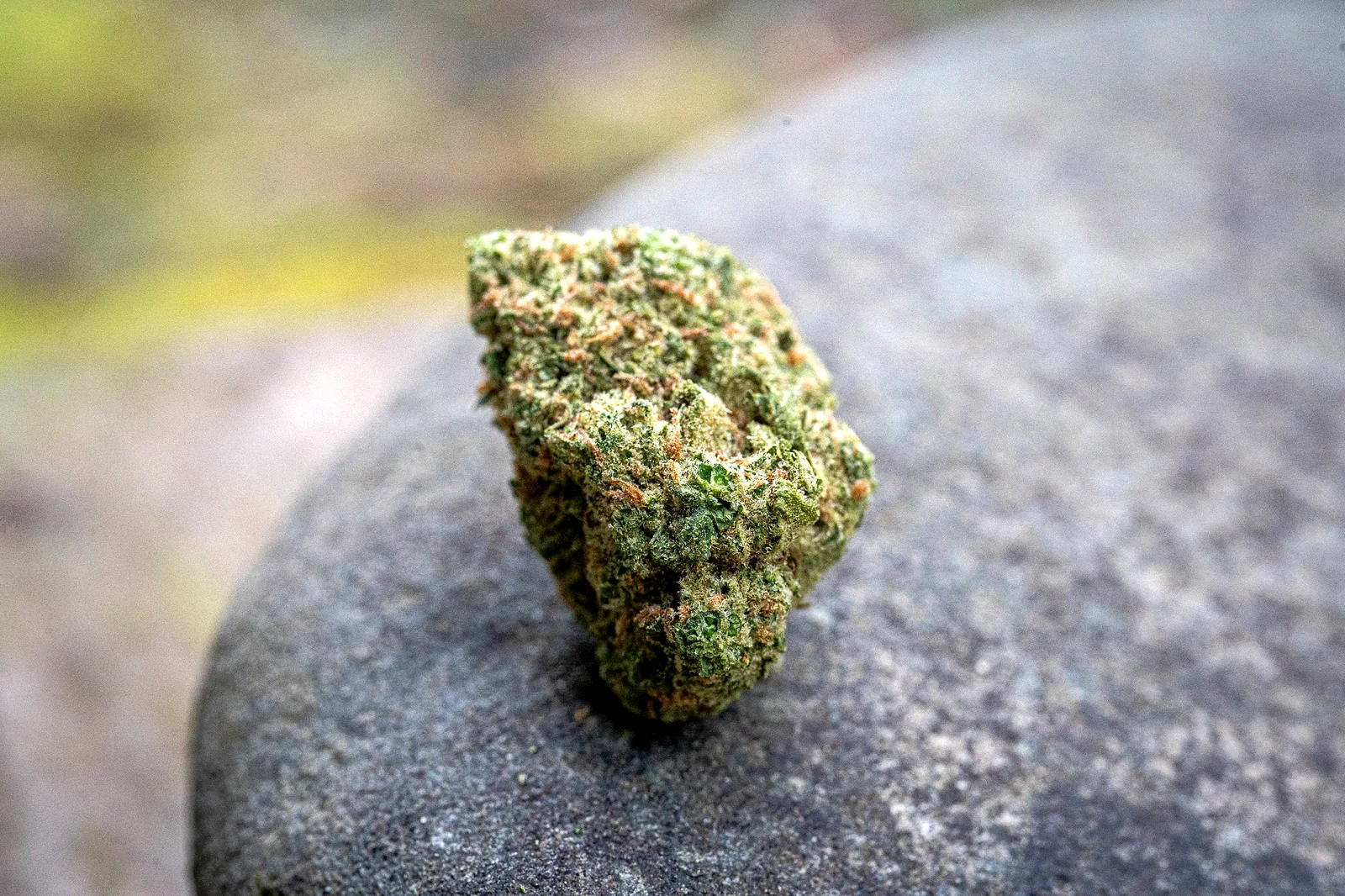 Blue Dream cannabis flower