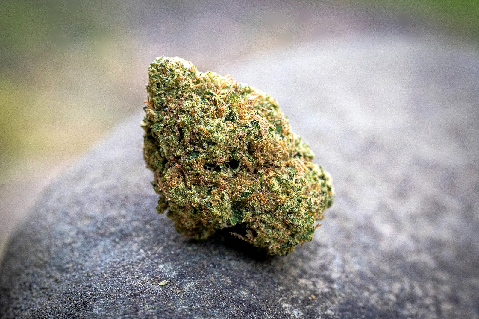 Orange Durban cannabis flower