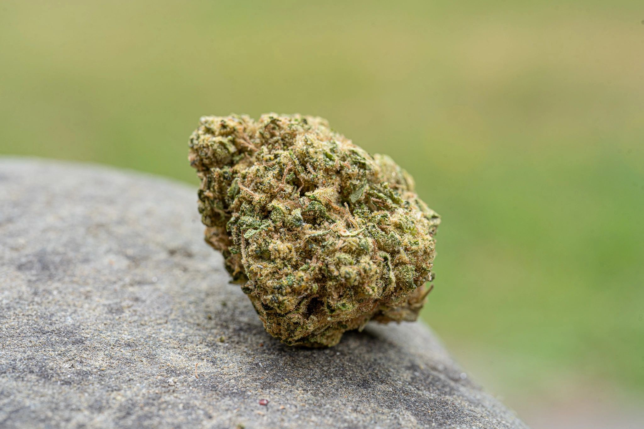 Wedding Cake cannabis flower from HappyDay Farms